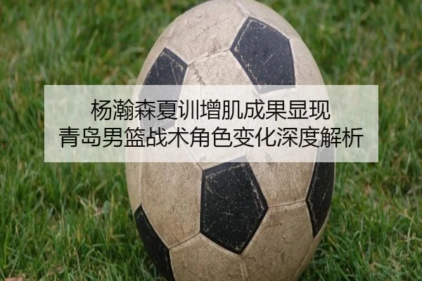 杨瀚森夏训增肌成果显现 青岛男篮战术角色变化深度解析