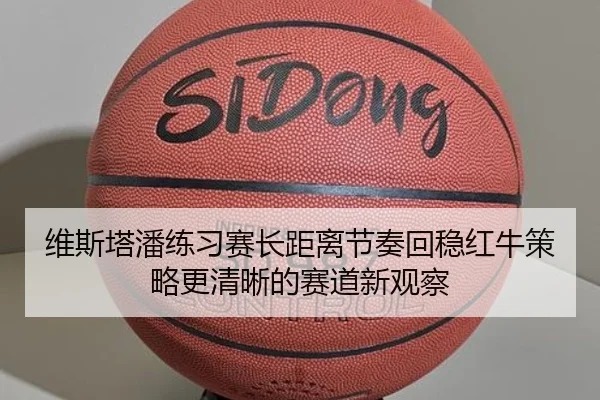 维斯塔潘练习赛长距离节奏回稳红牛策略更清晰的赛道新观察